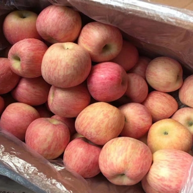 现在市场上红富士苹果多少钱一斤 今日苹果产