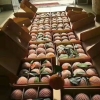 巫山恋橙