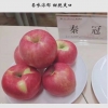 秦冠苹果 另售苹果,澳洲青苹,粉红女士,瑞阳瑞雪,秦冠,浓果11