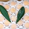 云霄早钟枇杷5斤精选纸箱彩箱包邮
