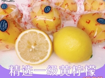 批发安岳黄柠檬一级