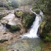 湖南特产:炎陵高山红心黄桃