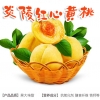 湖南特产,炎陵黄桃广州代销点