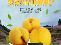 倒计时!你和炎陵黄桃之间,还有........