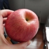 红富士苹果