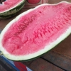 西瓜