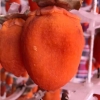 柿饼