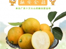 融安金橘