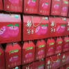 甘肃苹果