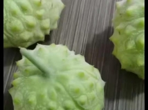 海星果种子,海星果怎么吃