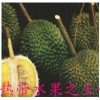 进口榴莲哪家强？且看凭祥开泰进出口贸易有限公司