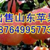 水果图片