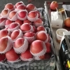 江南水果批发商