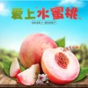 中国蜜桃之都蒙阴蜜桃应季新鲜桃子现摘现发5斤1箱包邮