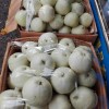 深圳水果批发市场