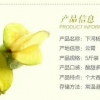 杨桃