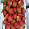 山东优质曙光油桃，中油4号2号冷库红富士苹果大量上市