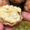新鲜核桃