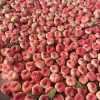 各种水蜜桃