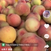 红不软
