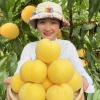 黄桃—黄金蜜三号