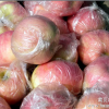 山东优质红富士苹果大量供应，货源充足