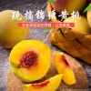 湘西桐花寨高山果园批发零售现摘现发爽脆甜特色锦绣黄桃（预售）