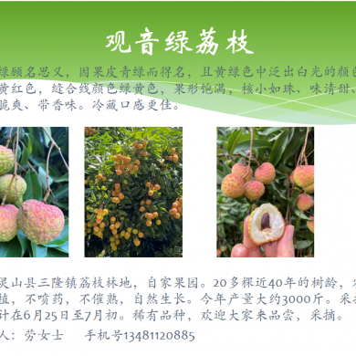 水果图片