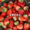 妙香，宁玉草莓，江苏邳州草莓