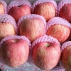 山东省优质冷库红富士苹果大量上市，货源充足