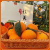 正宗象山红美人柑橘新鲜橘子爱媛28号果冻橙蜜桔子时令水果礼盒装