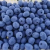 蓝莓、车厘子鲜果销售招商