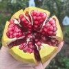 石榴
